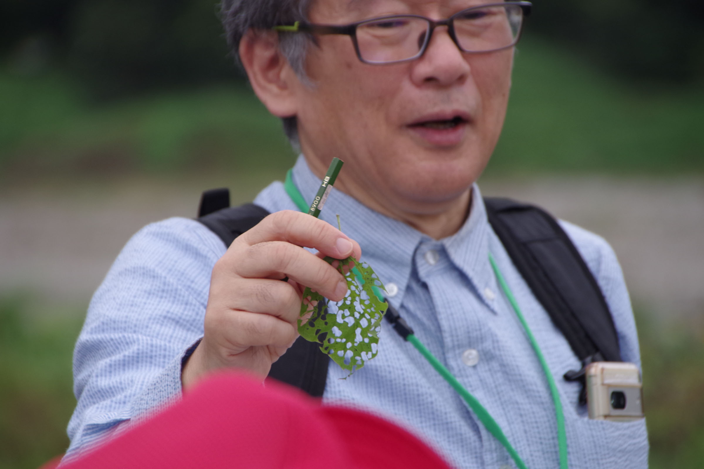 昆虫観察会