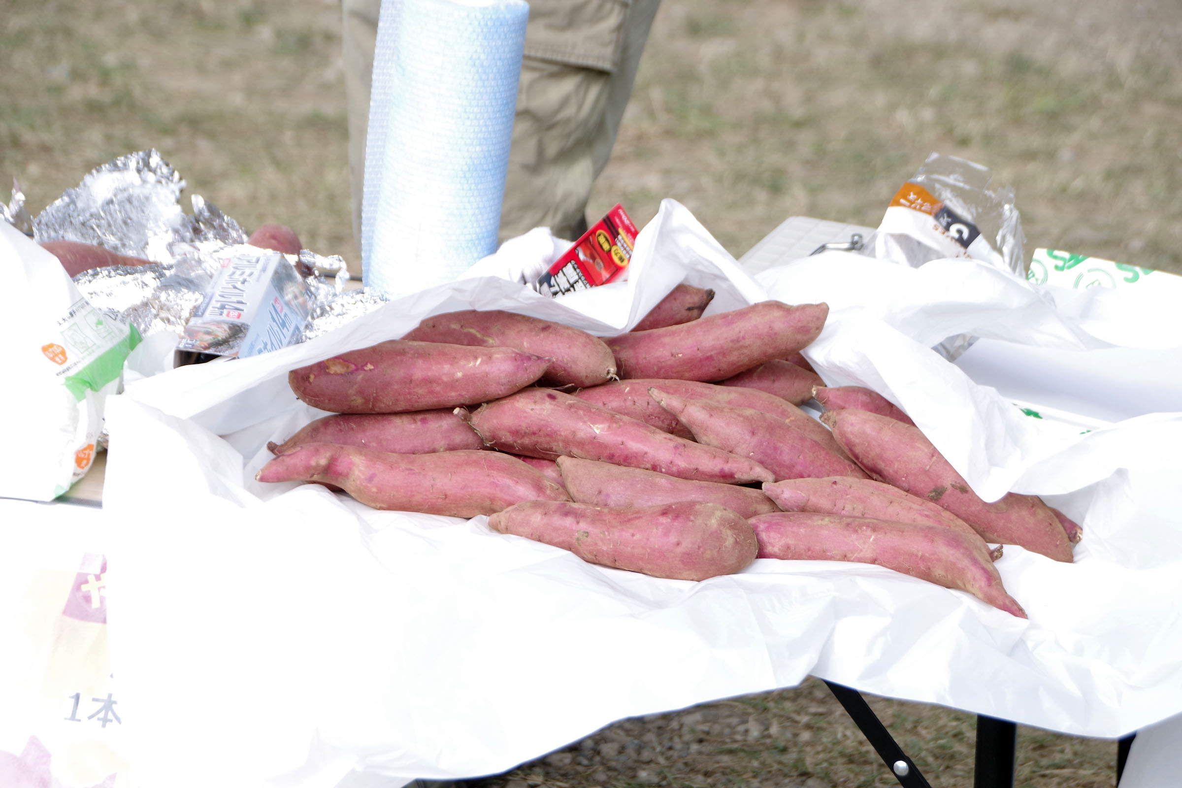 丸子の渡し祭り,多摩川で和むe体験