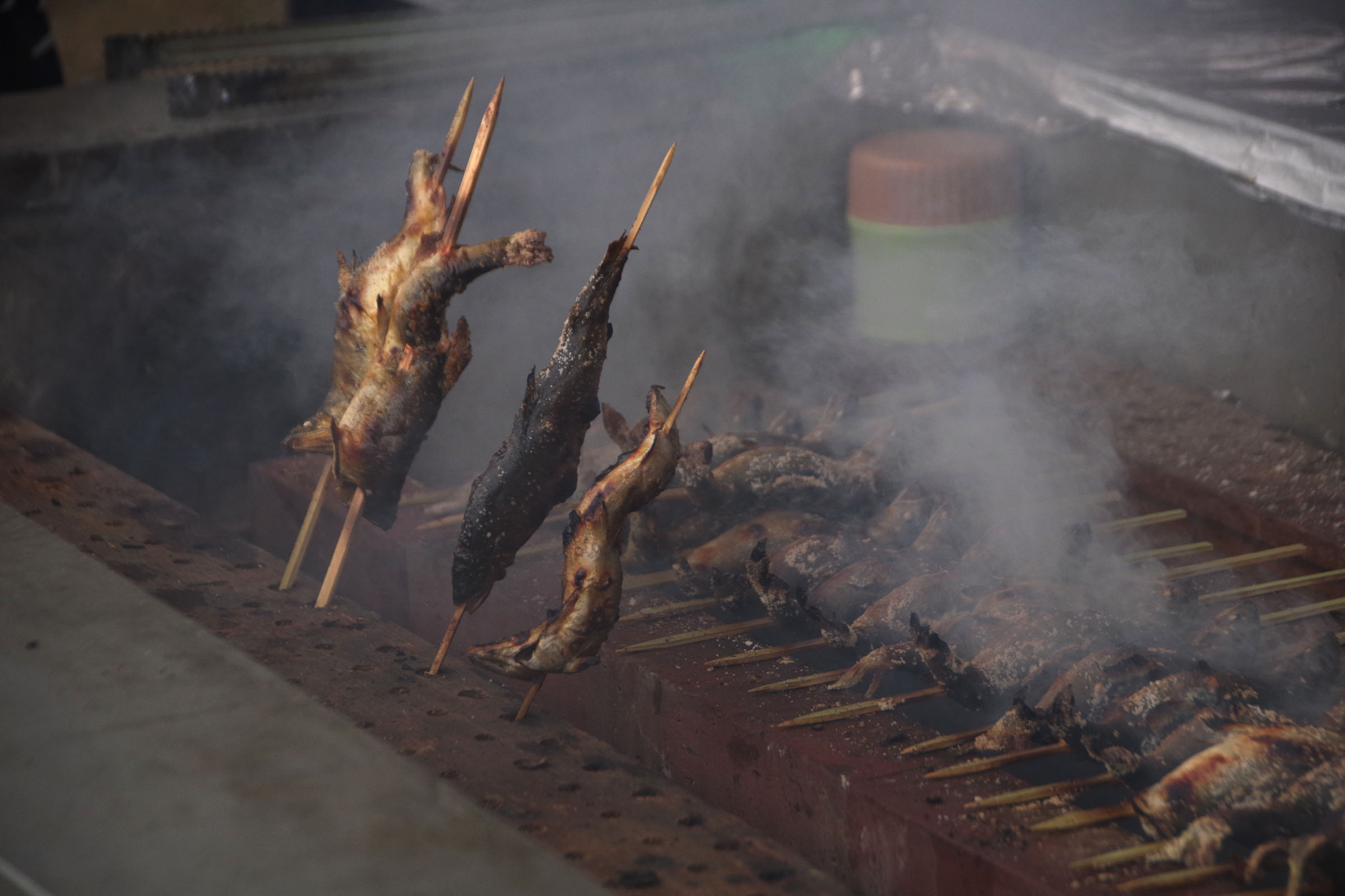 丸子の渡し祭り,多摩川で和むe体験