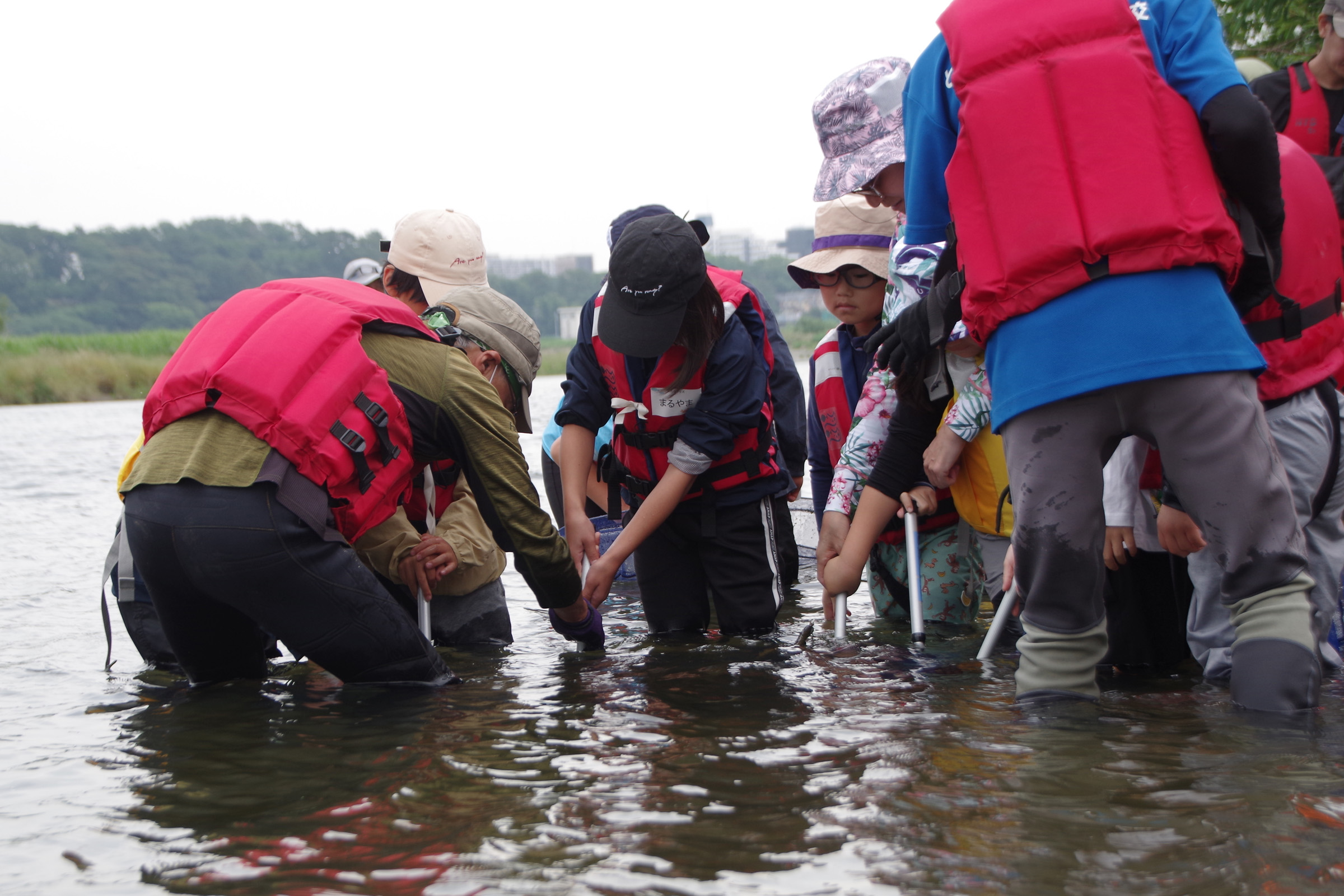 『川の生きもの観察会(ガサガサ)』