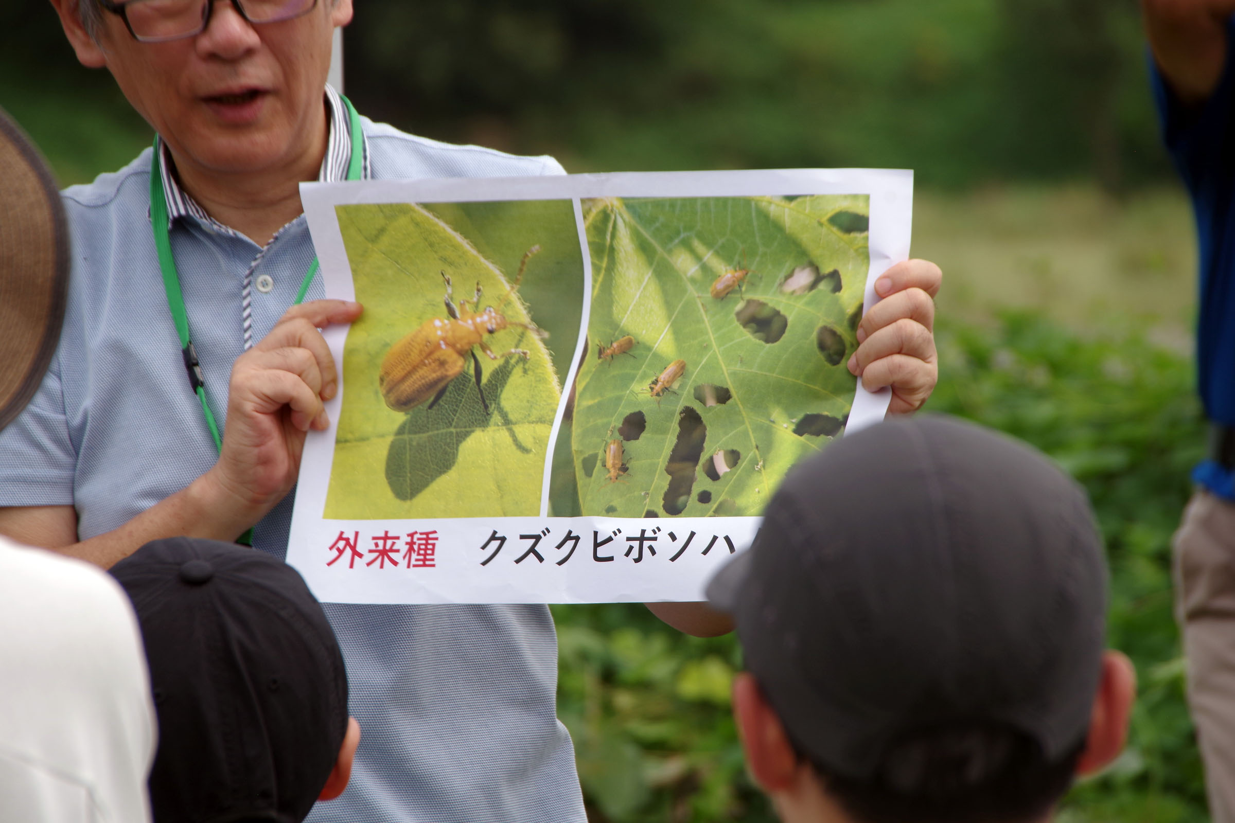 『昆虫観察会』