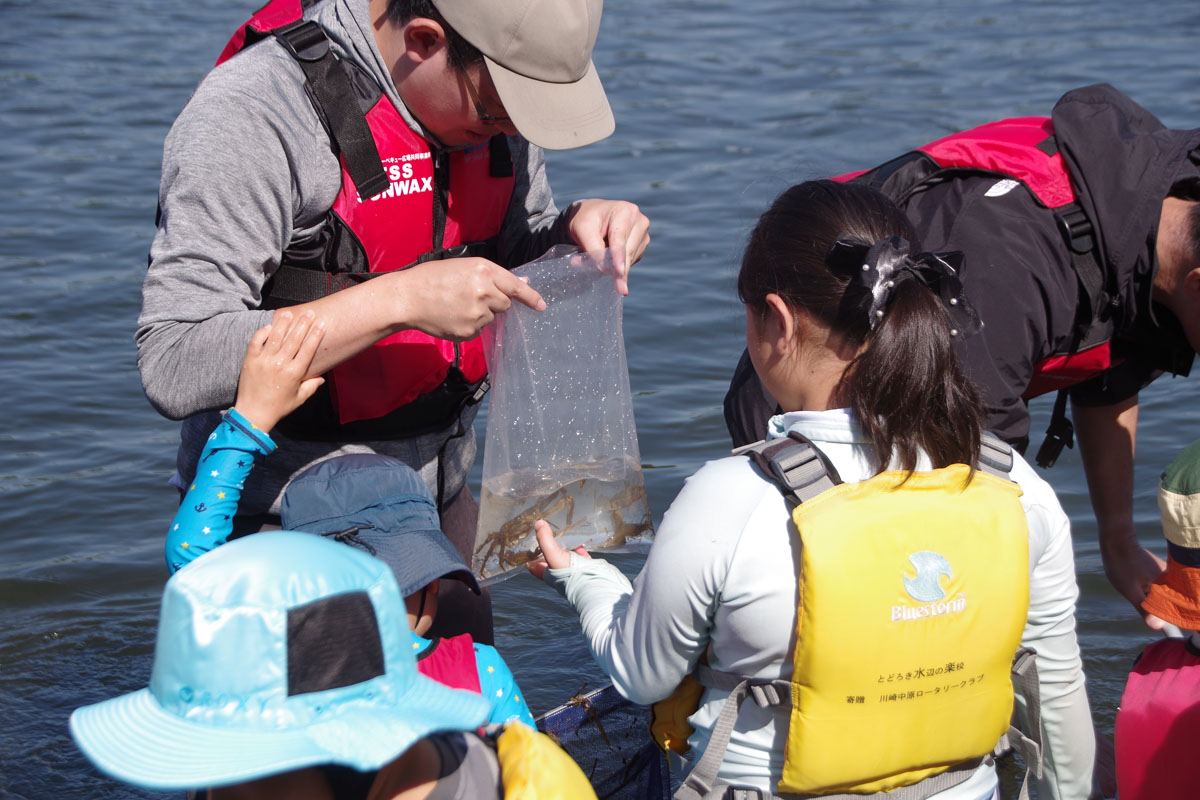 『川の生きもの観察会(ガサガサ)』