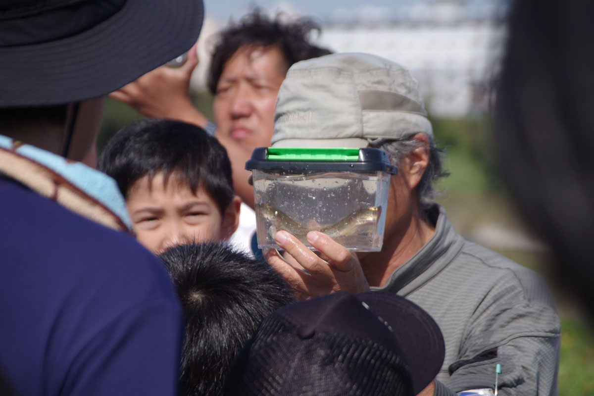 『川の生きもの観察会(ガサガサ)』