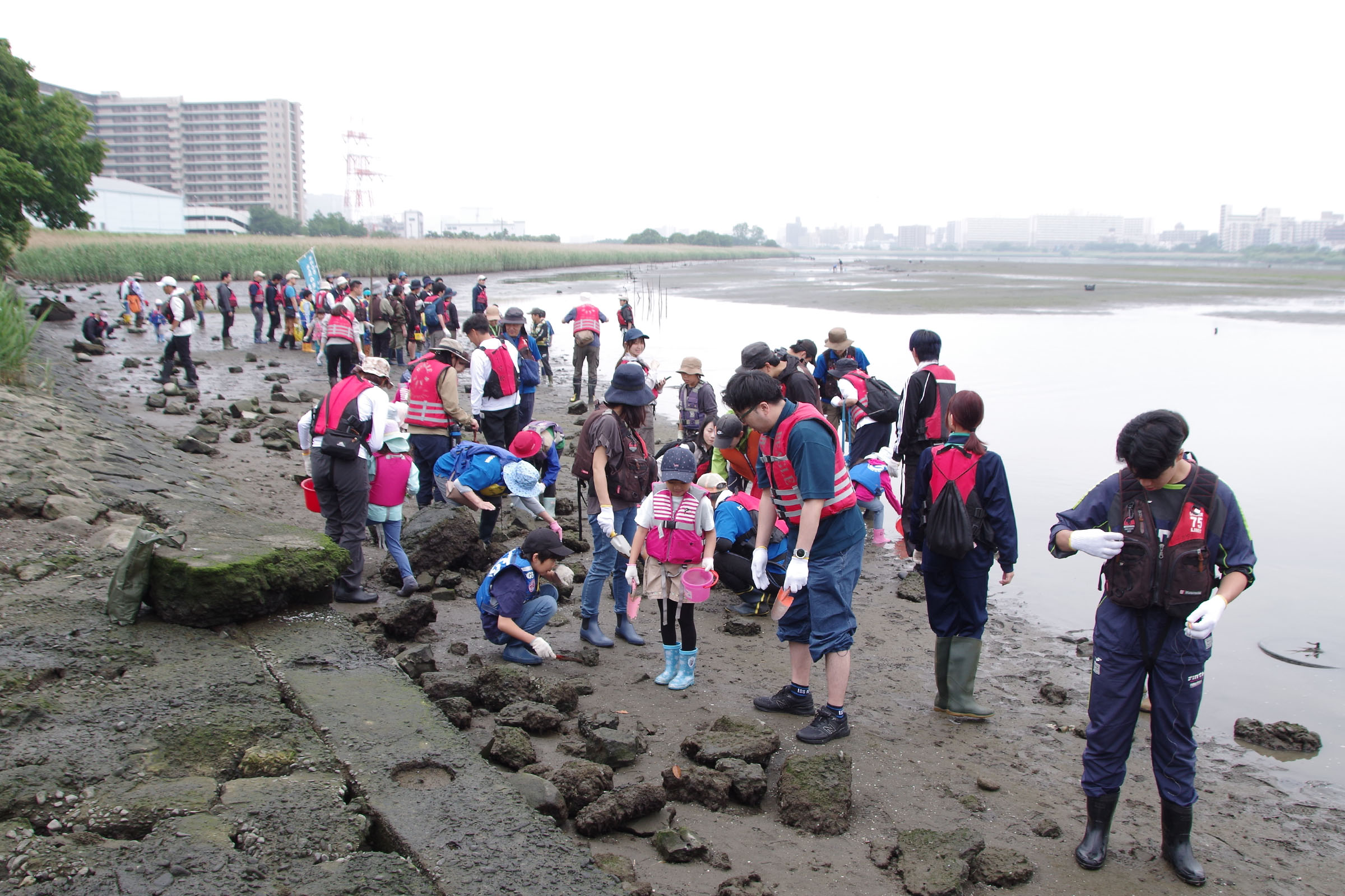 干潟観察会 class=