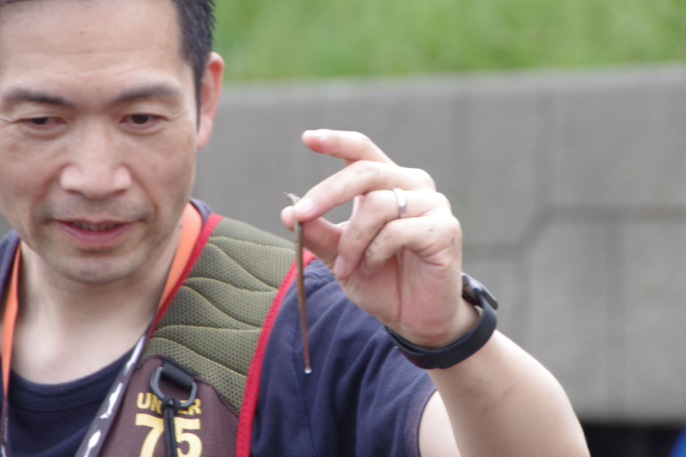 干潟観察会 class=