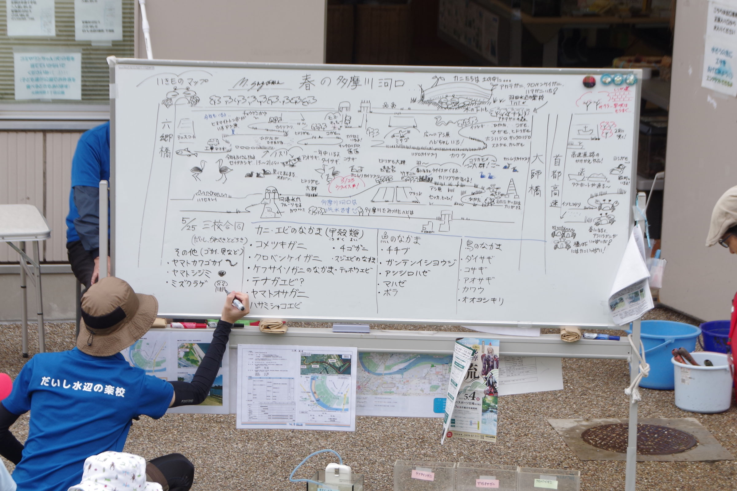 干潟観察会 class=