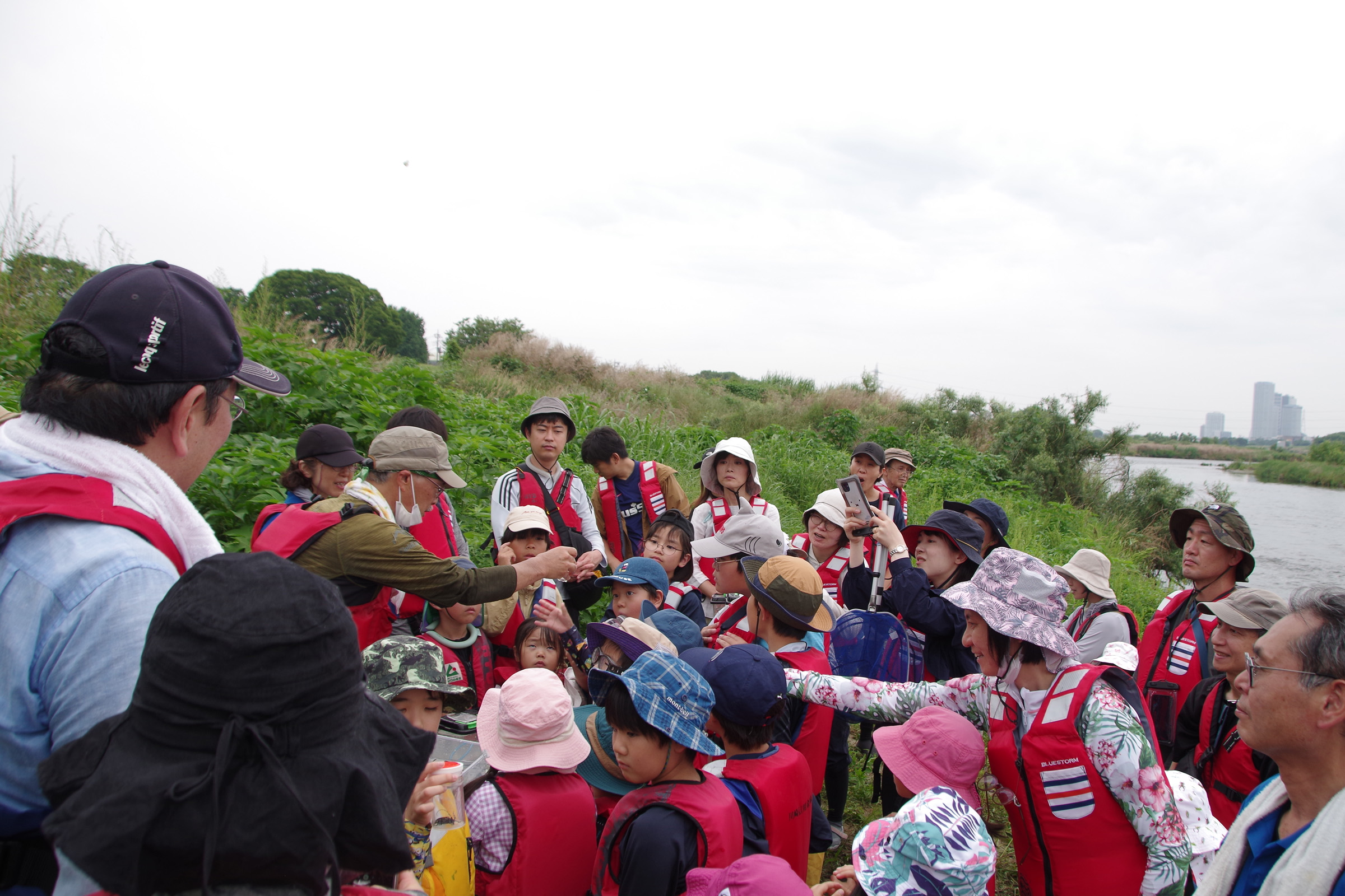 『川の生きもの観察会(ガサガサ)』