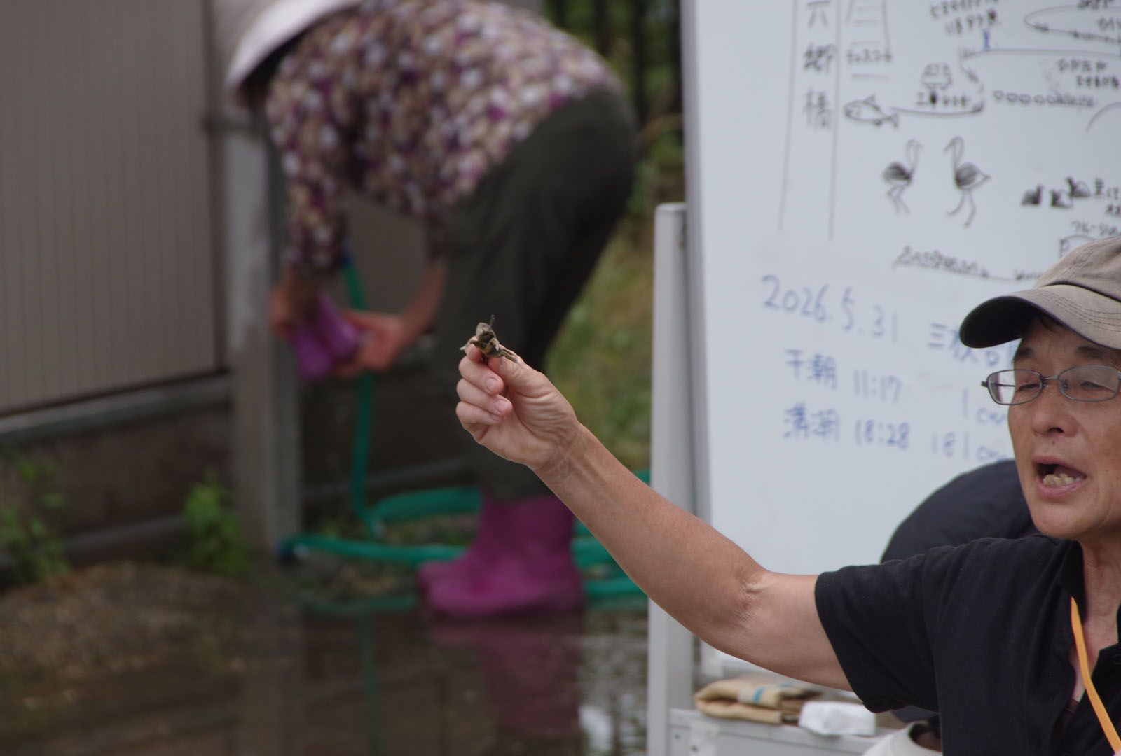 干潟観察会 class=